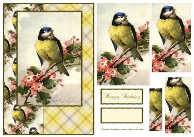 Beautiful Vintage Painted Bird A5 Quick Card