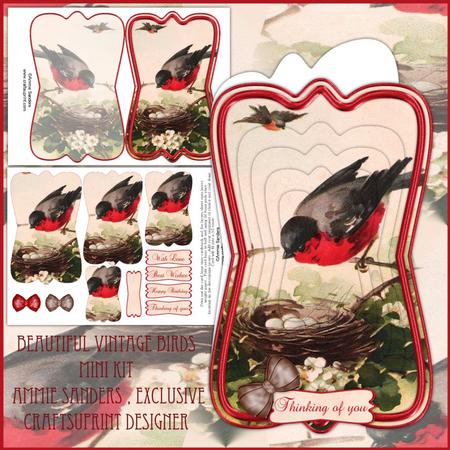 Beautiful Vintage Painted Birds Shaped Card Mini Kit