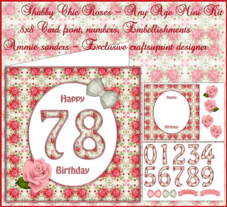 Shabby Chic Roses Any Age 8x8 Mini Kit