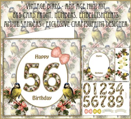 Beautiful Vintage Birds Any Age 8x8 Mini Kit