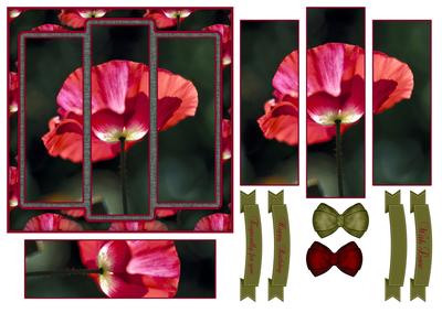 Beautiful Poppy 6x6 Panel Card
