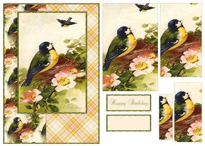 Beautiful Vintage Painted Birds A5 Quick Card