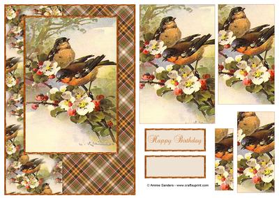 Beautiful Vintage Painted Birds A5 Quick Card