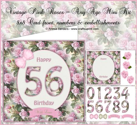 Vintage Pink Roses Any Age 8x8 Mini Kit