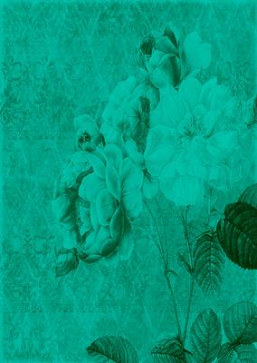 Tattered Rose A4 Backing Paper - Bright Shade