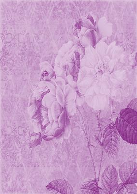 Tattered Rose A4 Backing Paper - Bright Shade