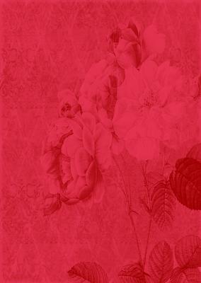 Tattered Rose A4 Backing Paper - Bright Shade