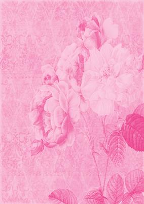 Tattered Rose A4 Backing Paper - Bright Shade