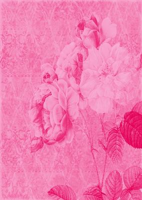 Tattered Rose A4 Backing Paper - Bright Shade