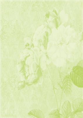 Tattered Rose A4 Backing Paper - Bright Shade