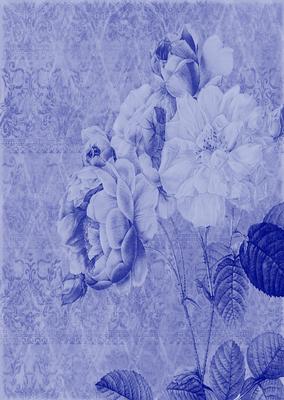 Tattered Rose A4 Backing Paper - Bright Shade