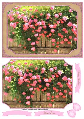Beautiful Trailing Roses Watercolour Quick Card