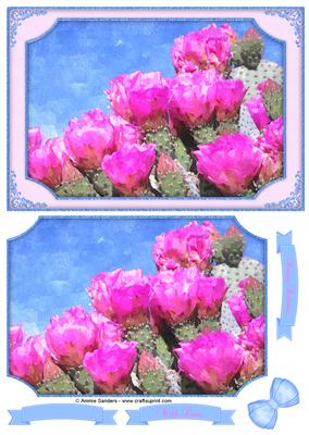 Beautiful Cactus Flowers Watercolour Quick Card