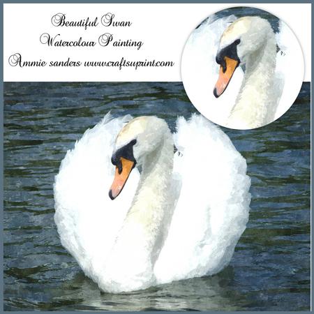 Beautiful Swan Watercolour Painting Cu4cu