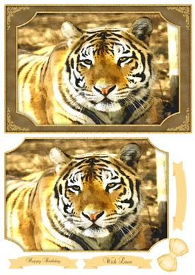 Big Beautiful Tiger Watercolour Quick Card