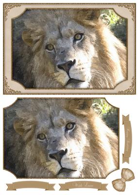 King of the Jungle Lion Watercolour Quick Card
