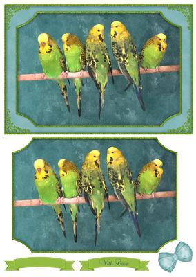 Row of Budgies Watercolour Quick Card