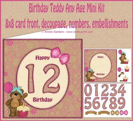 Birthday Teddy Any Age 8x8 Mini Kit