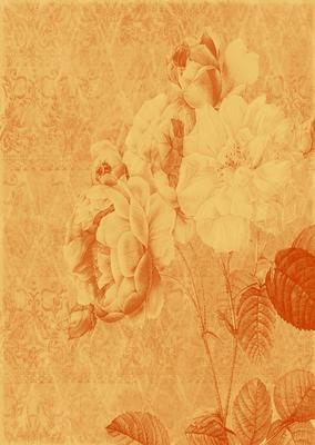 Tattered Rose A4 Backing Paper - Earthy Shade