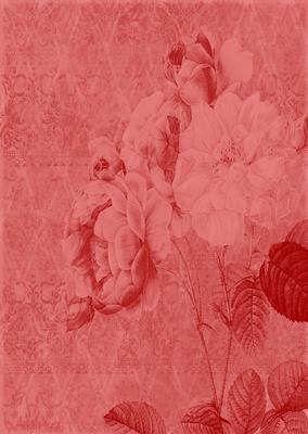 Tattered Rose A4 Backing Paper - Earthy Shade