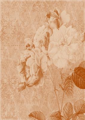 Tattered Rose A4 Backing Paper - Earthy Shade
