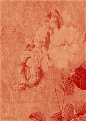 Tattered Rose A4 Backing Paper - Earthy Shade