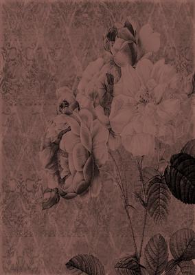 Tattered Rose A4 Backing Paper - Earthy Shade