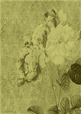 Tattered Rose A4 Backing Paper - Earthy Shade