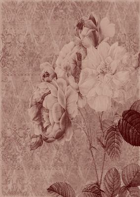 Tattered Rose A4 Backing Paper - Earthy Shade
