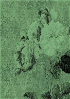 Tattered Rose A4 Backing Paper - Earthy Shade