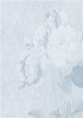 Tattered Rose A4 Backing Paper - Rich Shade