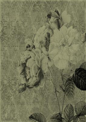Tattered Rose A4 Backing Paper - Rich Shade
