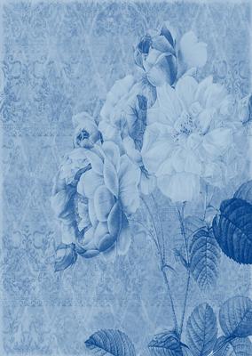 Tattered Rose A4 Backing Paper - Rich Shade