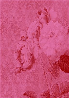 Tattered Rose A4 Backing Paper - Rich Shade