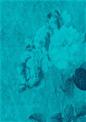 Tattered Rose A4 Backing Paper - Rich Shade