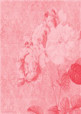 Tattered Rose A4 Backing Paper - Rich Shade