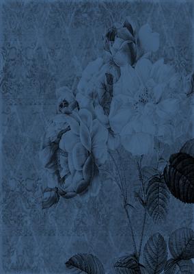 Tattered Rose A4 Backing Paper - Rich Shade