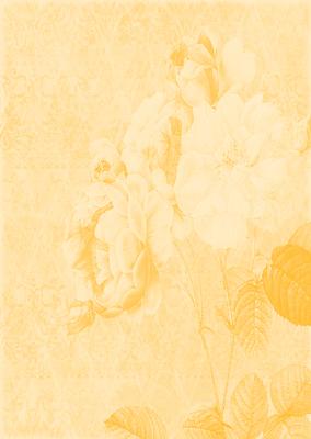 Tattered Rose A4 Backing Paper - Rich Shade