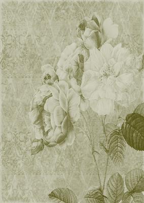 Tattered Rose A4 Backing Paper - Subtle Shade