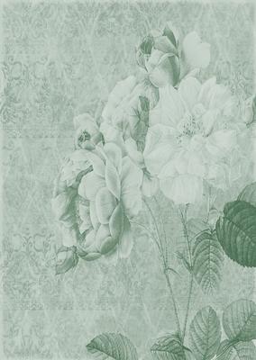 Tattered Rose A4 Backing Paper - Subtle Shade
