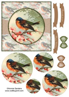 Beautiful 6x6 Torn Strip Vintage Bird Quick Card