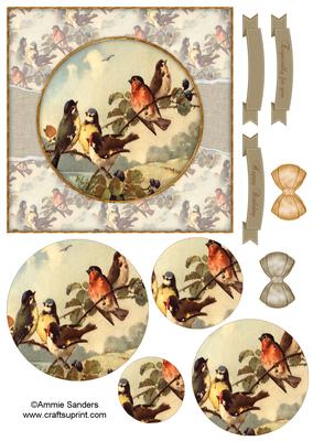 Beautiful 6x6 Torn Strip Vintage Birds Quick Card