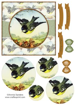 Beautiful 6x6 Torn Strip Vintage Bird Quick Card