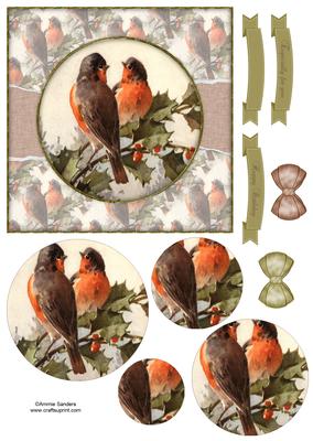Beautiful 6x6 Torn Strip Christmas Robins Quick Card
