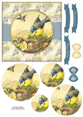 Beautiful 6x6 Torn Strip Vintage Birds Quick Card