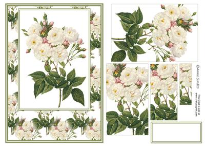Wild Roses Card Front Kit, Birthday, Mothers Day Etc - 