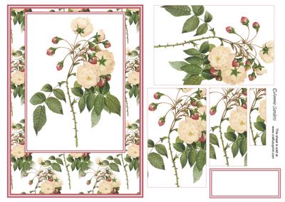 Wild Roses Card Front Kit, Birthday, Mothers Day Etc - 