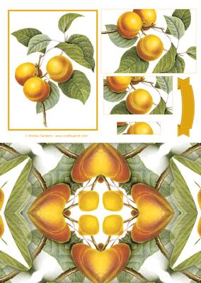 Vintage Floral Quick Card