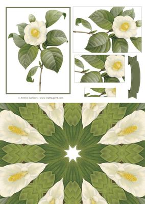 Vintage Wild Rose Quick Card