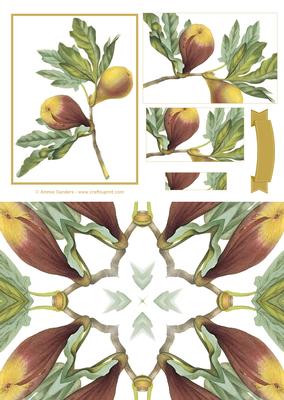 Vintage Floral Quick Card